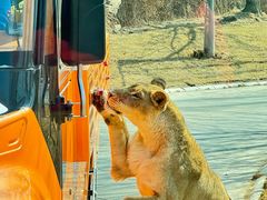-北京野生动物园