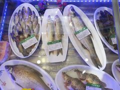 -掌勺人鱼馆(朝阳镇店)