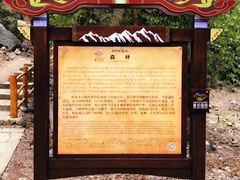 -米堆冰川