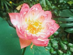 -南堂小馆·川菜馆(德商国际店)