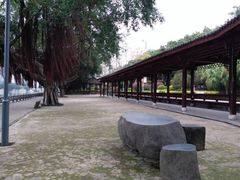 -光明港公园