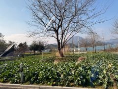 -杭州千岛湖滨江希尔顿度假酒店