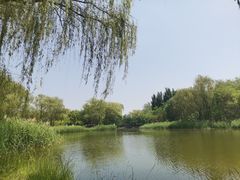 -大兴滨河森林公园