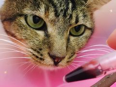 -创凡宠物医院·骨专科  猫科中心(西乡分院)