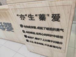 -Cocodemer女性健康·产后恢复(天一广场店)