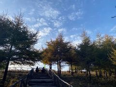 -红崖峡谷景区