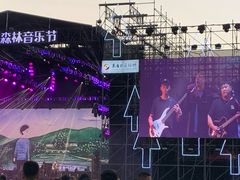 -黄海国家森林公园