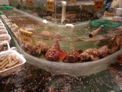 -海蓝海鲜馆(五四北店)