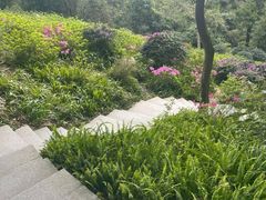 -广州市白云山风景名胜区