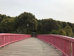 -美兰湖景区