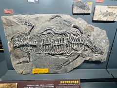 -北京大学赛克勒考古与艺术博物馆