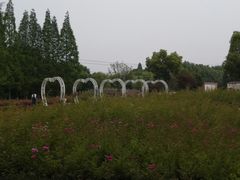 -昆山城市生态森林公园