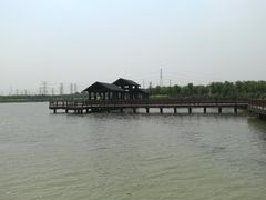 -天津东丽湖风景区