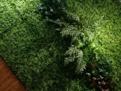 -宠颐生斯嘉宠物医院·急重症·心内科(谷阳北路分院)