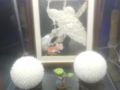 -贝壳梦幻世界
