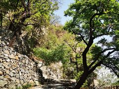 -北京鹫峰国家森林公园