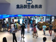 -盒马鲜生(大成店)