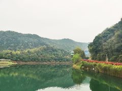 -桃花岭景区