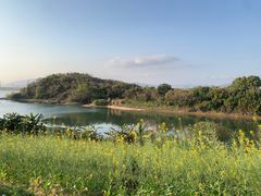 -福建鲤鱼洲酒店