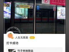 -竹子林(地铁站)