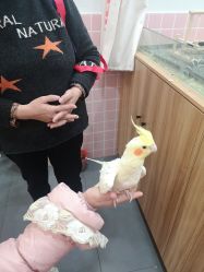 -Moni星球萌宠·小马宝莉·灵蛇·高端高阶全萌宠互动体验俱乐部(红豆国际广场店)