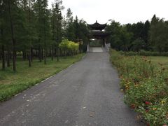 -梁鸿国家湿地公园