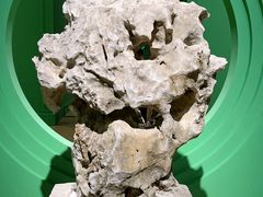 -德基艺术博物馆