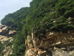 -王顺山国家森林公园