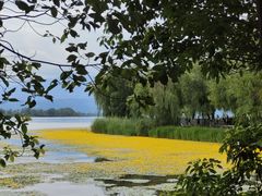 -西昌邛海湿地