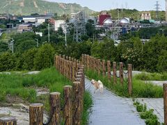 -白水寺森林公园
