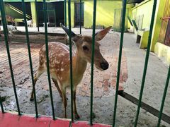 -荆州中山公园动物园