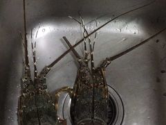 -黄沙水产交易市场