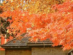 -颐和路民国时期公馆风貌区