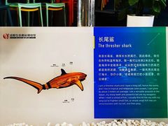 -生命奥秘博物馆