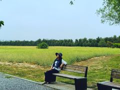 -汉长安城未央宫国家考古遗址公园