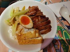 金奖卤鹅肉饭-陈鹏鹏潮汕菜(宝安机场T3航站楼店)