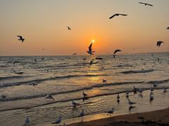 -老虎石海上公园