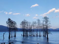 -洱海月湿地公园