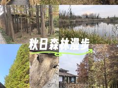 -溱湖国家湿地公园