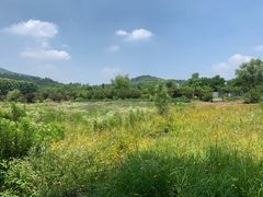 -石塘人家