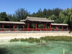 -尚庄度假村·庭台树下·户外烧烤·团建CS·轰趴营地(上庄水库店)