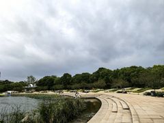 -新江湾城公园