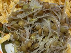 凉拌绿豆芽-清真·金城老碗牛肉面揪面片(兰州总店)