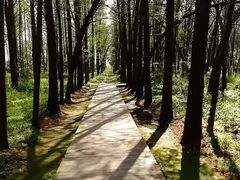-同里国家湿地公园