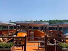 -大湾区中央湿地公园