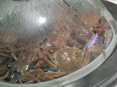 -同道蒸汽海鲜烧烤自助(刘庄夜市店)