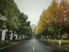 -武汉市第四中学