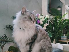 -小时光咖啡馆(北锣鼓巷店)