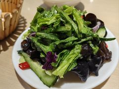 -闫家驴肉老店(华电一校店)