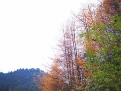 -秦岭风景区